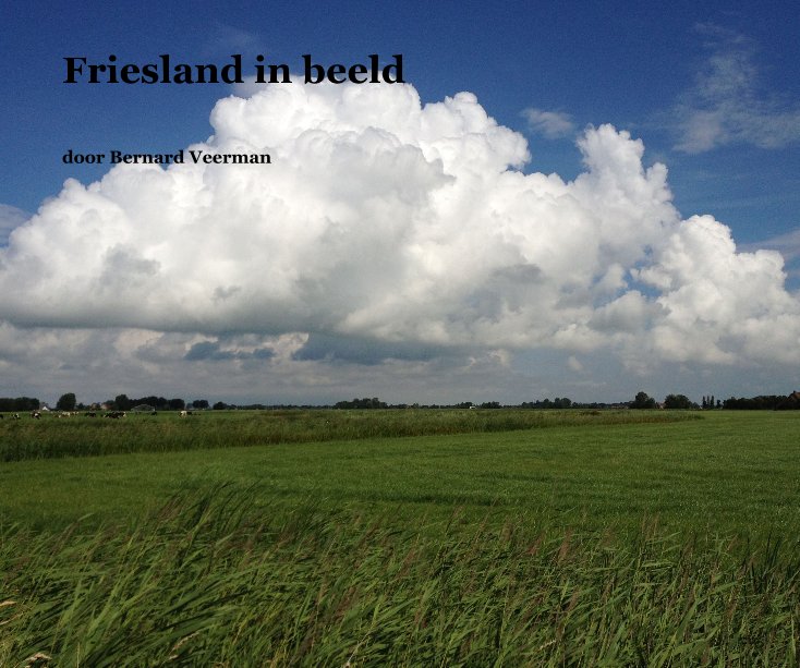 Ver Friesland in beeld por Bernard Veerman