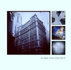 In New York City 2012 book cover