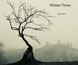 Winter Trees book cover