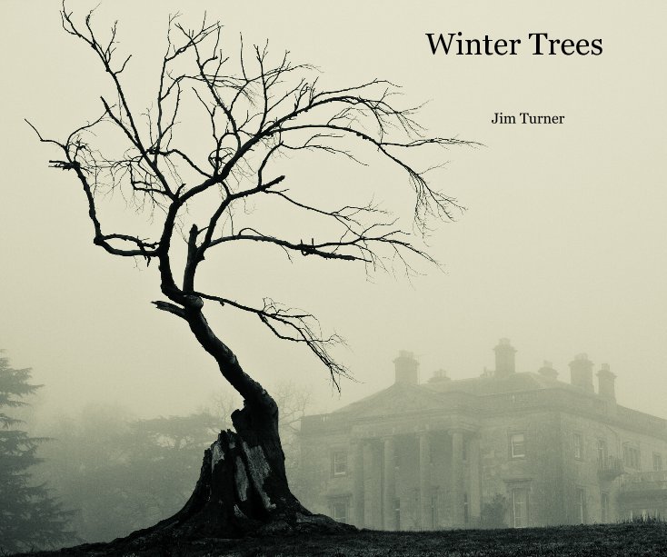 View Winter Trees by Jim Turner