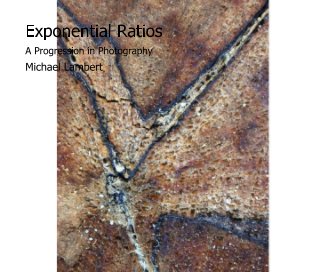 Exponential Ratios book cover