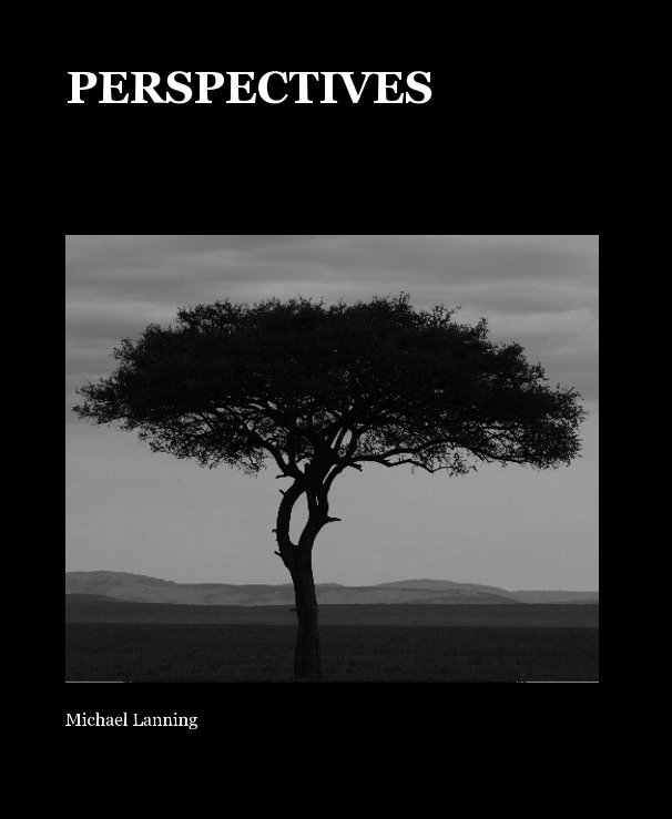 View PERSPECTIVES by Michael Lanning