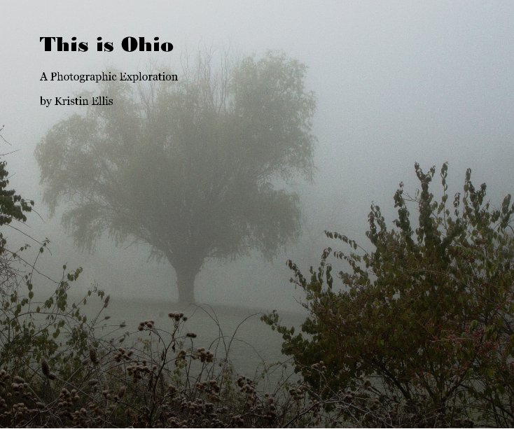 View This is Ohio by Kristin Ellis