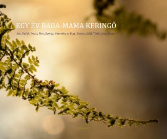 EGY ÉV BABA-MAMA KERINGŐ 'One Year of Walse of Mothers And Babies' book cover