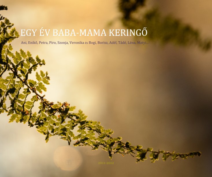 Visualizza EGY ÉV BABA-MAMA KERINGŐ 'One Year of Walse of Mothers And Babies' di darszon
