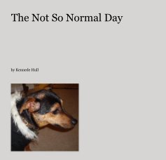 The Not So Normal Day book cover