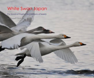 White Swan Japan book cover