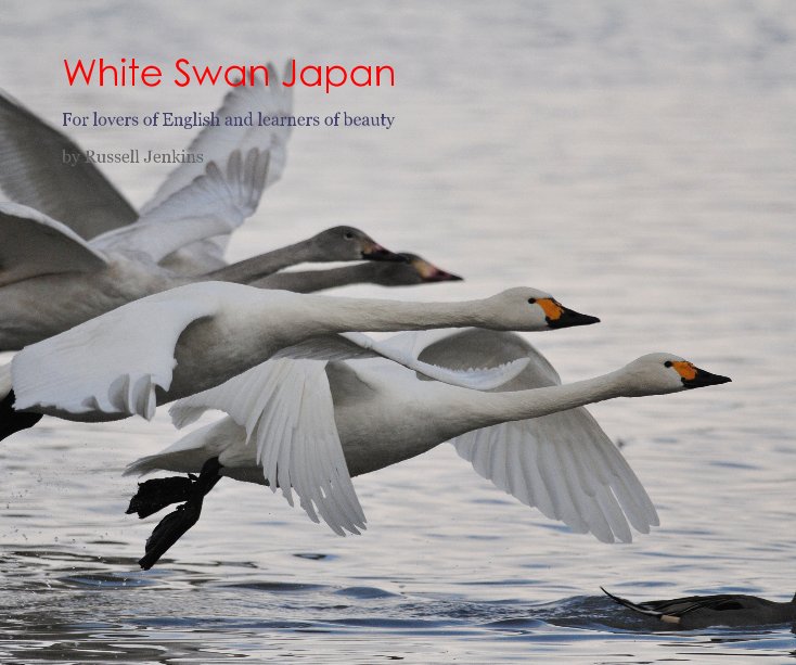View White Swan Japan by Russell Jenkins