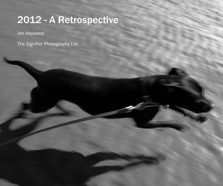Visualizza 2012 - A Retrospective di The Signifier Photography Ltd.