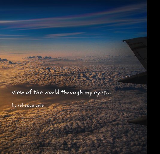 Ver view of the world through my eyes por rebecca cole