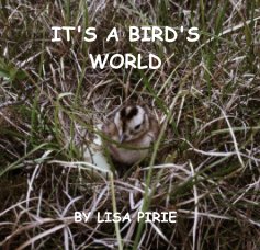 IT'S A BIRD'S WORLD book cover
