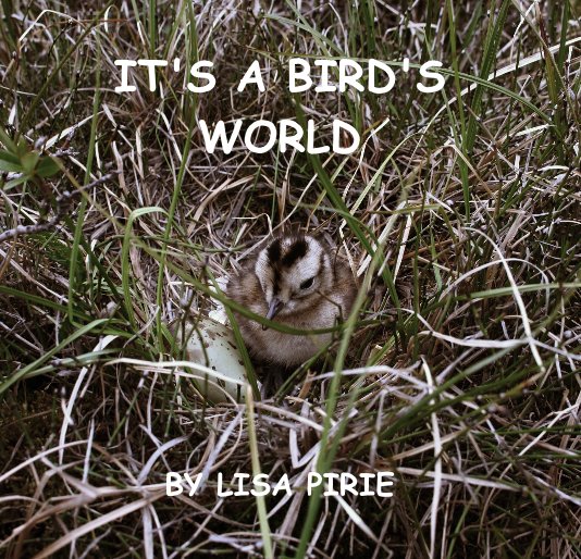 View IT'S A BIRD'S WORLD by Lisa Pirie