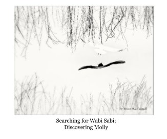 Searching for Wabi Sabi; Discovering Molly book cover