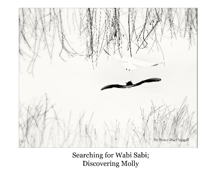 Ver Searching for Wabi Sabi; Discovering Molly por brucemac1147