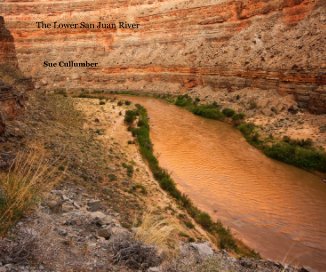 The Lower San Juan River book cover