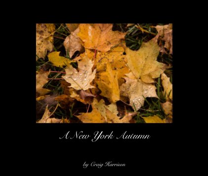 A New York Autumn book cover