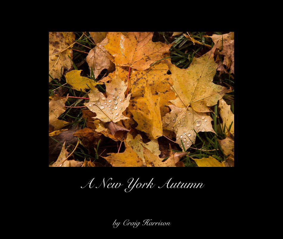 Ver A New York Autumn por Craig Harrison