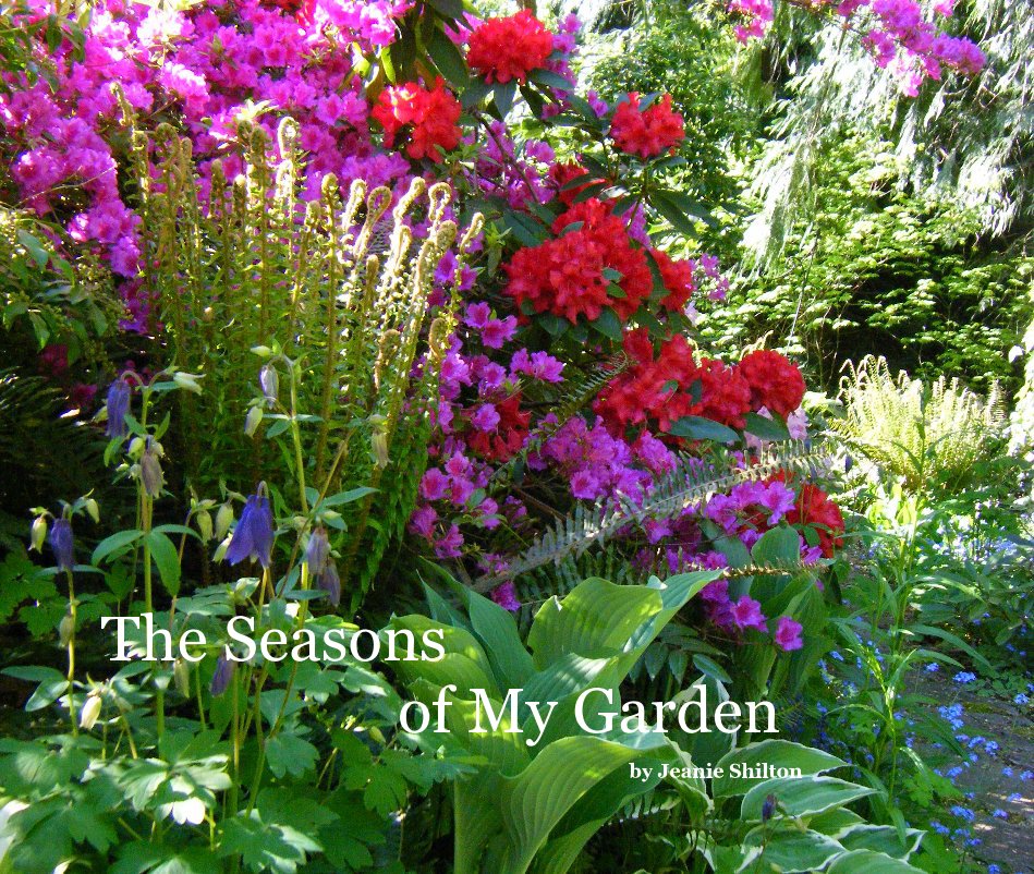 View The Seasons of My Garden by Jeanie Shilton