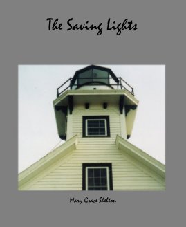 The Saving Lights book cover