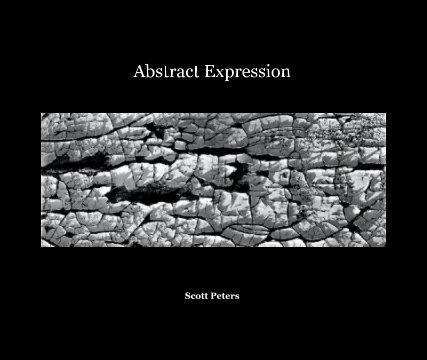 Abstract Expression book cover