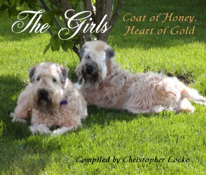 The Girls book cover