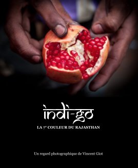 INDI-GO book cover