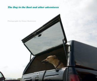 The Dog in the Boot and Other Adventures book cover