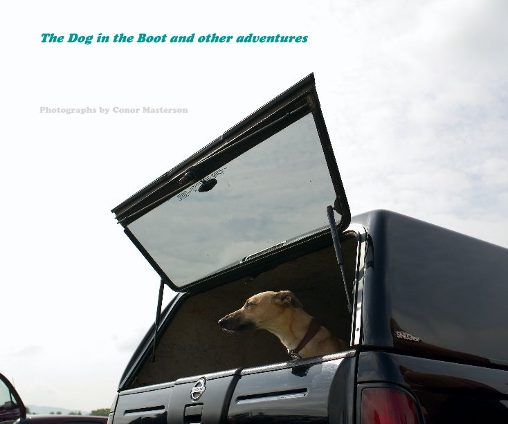 View The Dog in the Boot and Other Adventures by Photographs by Conor Masterson