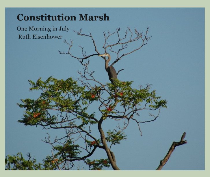 View Constitution Marsh by Ruth Eisenhower