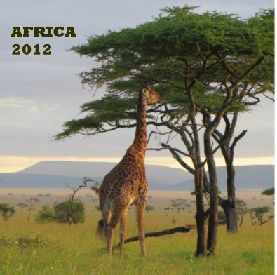 AFRICA 2012 book cover