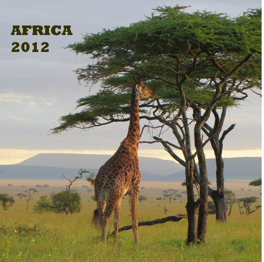 Ver AFRICA 2012 por Shiera