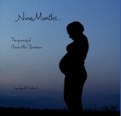Nine Months... book cover