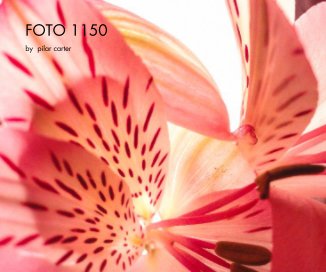 FOTO 1150 book cover