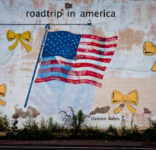 Ver Road Trip in America (small) por Damien Balais