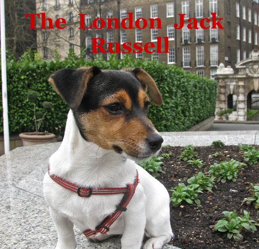 Ver The London Jack Russell por Anthony Falla