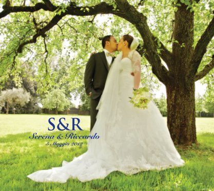 Wedding in Treviso book cover