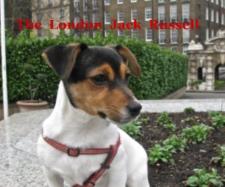 The London Jack Russell book cover