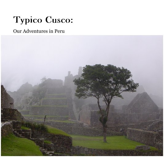 View Typico Cusco: Our Adventures in Peru by Jason and Denille Obermeyer