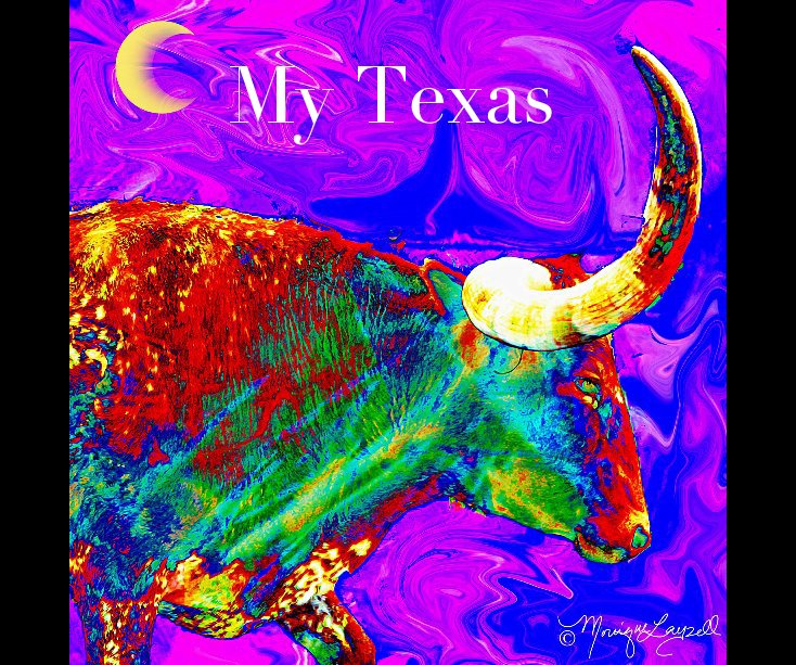 Visualizza My Texas di Monique Layzell