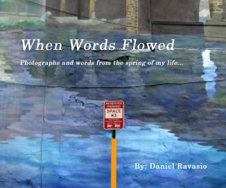 When Words Flowed book cover