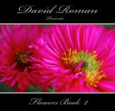 David Roman 
presents
Flowers Book 2 book cover