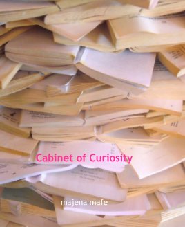cabinet of curiosity book cover