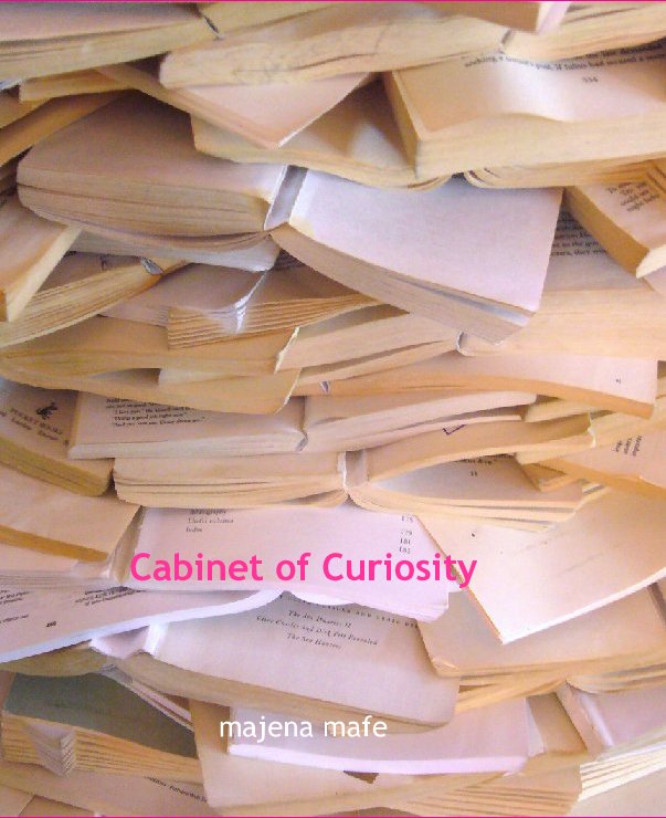 View cabinet of curiosity by majena mafe