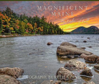 MAGNIFICENT MAINE book cover