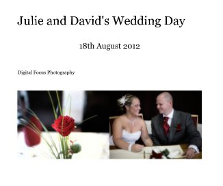 Julie and David's Wedding Day book cover