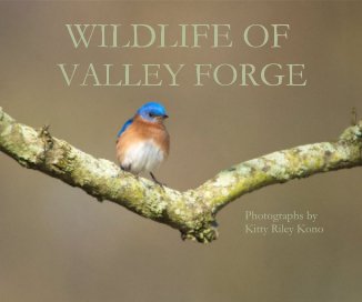 WILDLIFE OF VALLEY FORGE book cover