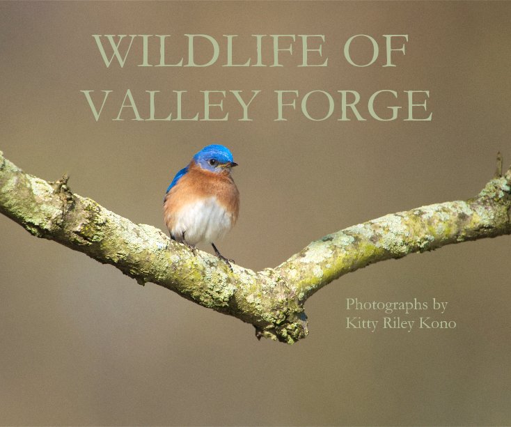 Ver WILDLIFE OF VALLEY FORGE por Kitty Riley Kono