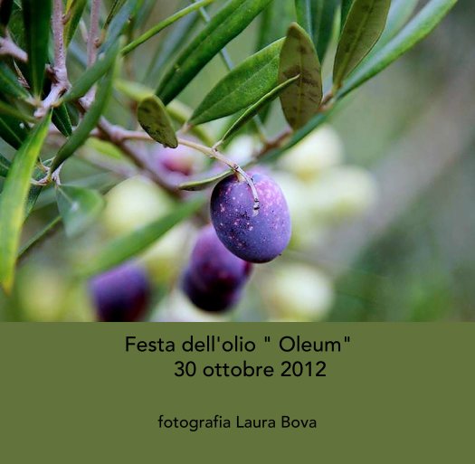 Visualizza Festa dell'olio " Oleum" 
    30 ottobre 2012 di fotografia Laura Bova