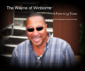 The Wayne of Winborne book cover