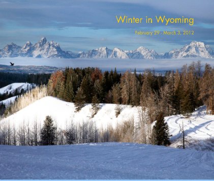 Winter in Wyoming book cover